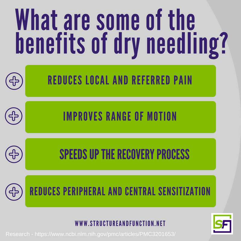 5 Dry Needling Benefits For Quick Pain Relief - Synergy Chiropractic of  Houston